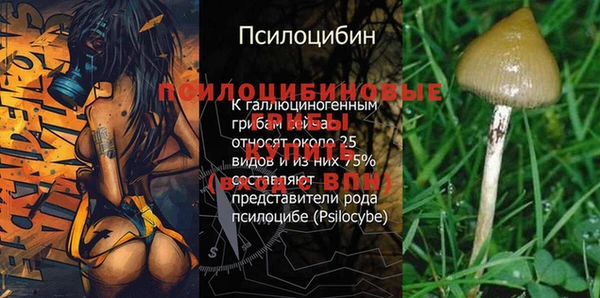 дмт Горнозаводск