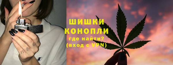 метадон Гусь-Хрустальный