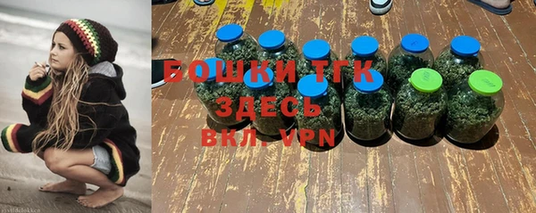 меф Горняк
