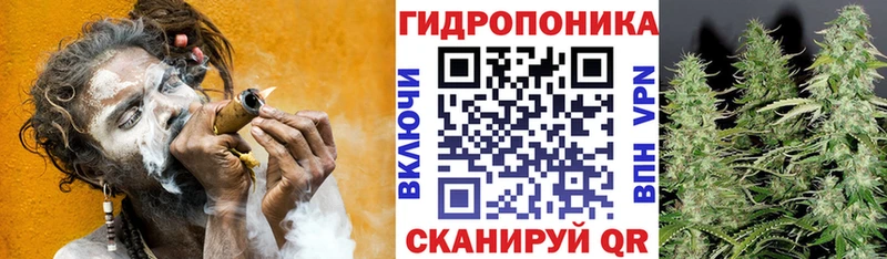 Канабис VHQ маркетплейс телеграм Дмитриев купить наркоту